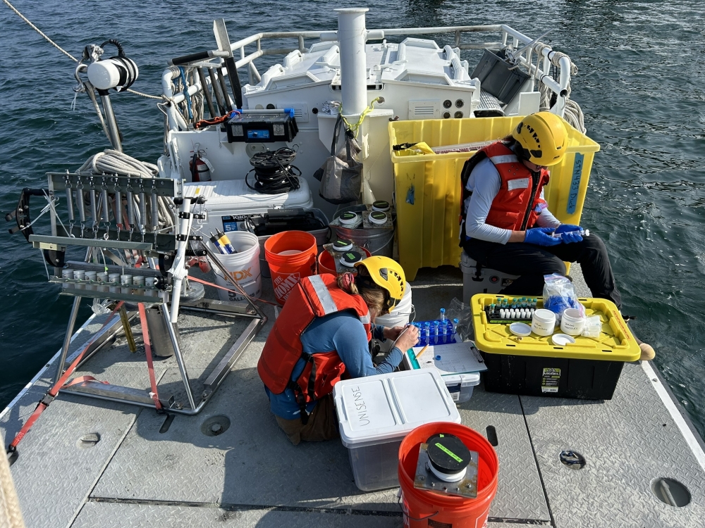 Ocean Outdoor UK announces results of contribution-based sustainability initiative