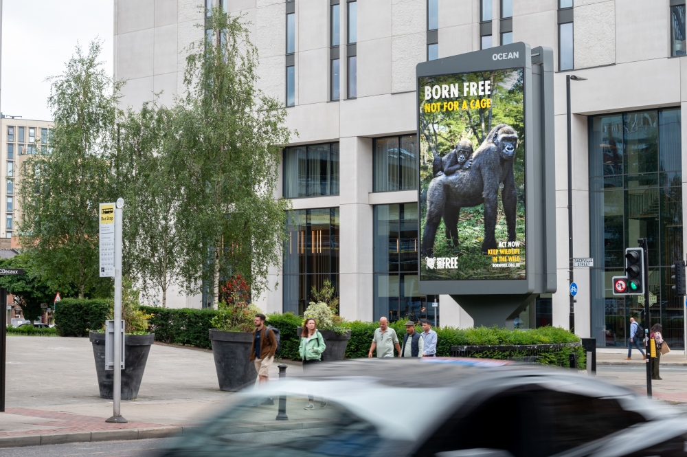 Born Free calls for an end to the captivity of great apes in national DOOH campaign