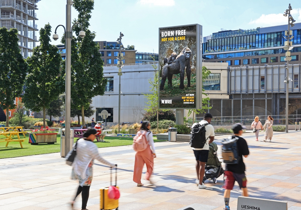 Born Free calls for an end to the captivity of great apes in national DOOH campaign