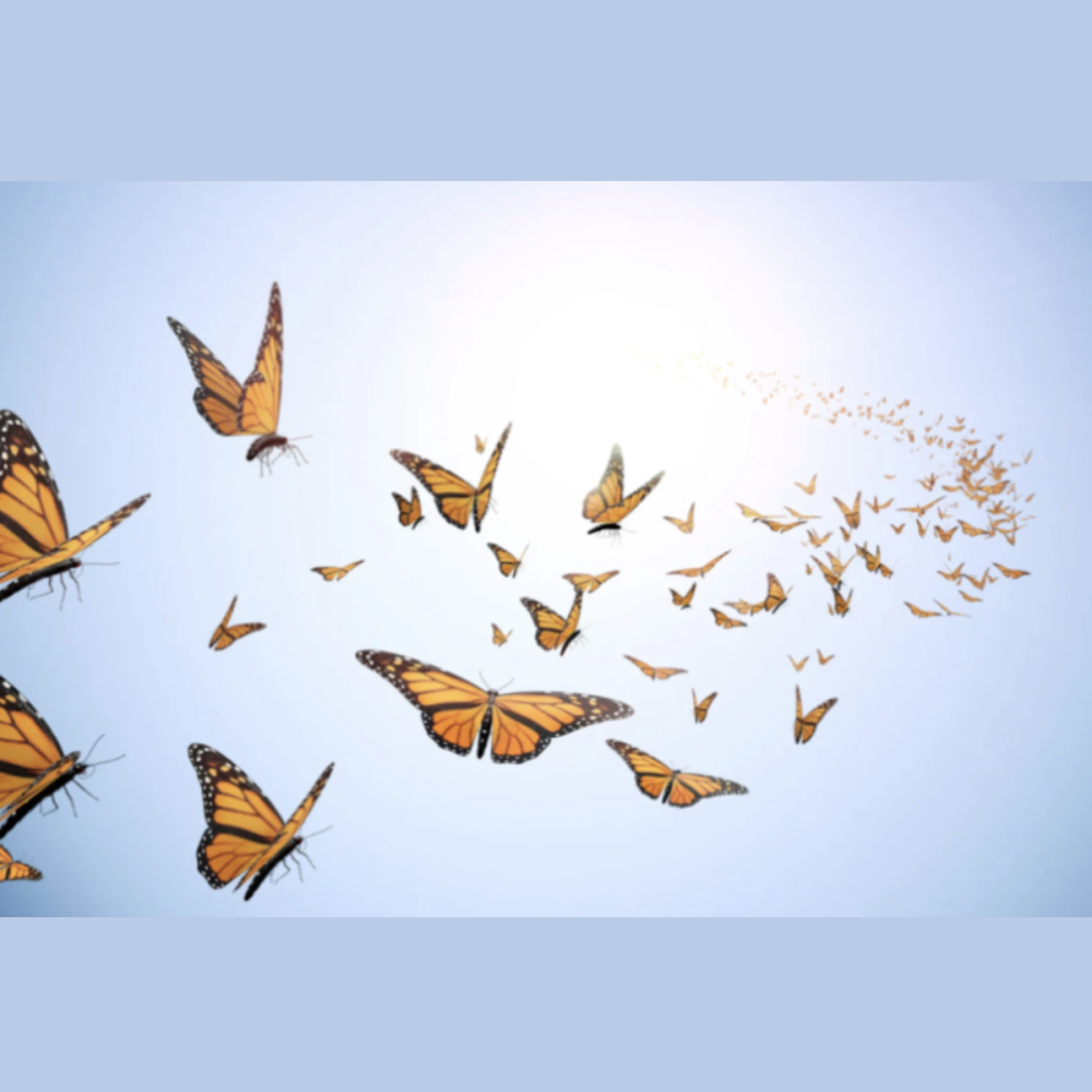 OOH effectiveness and the butterfly effect