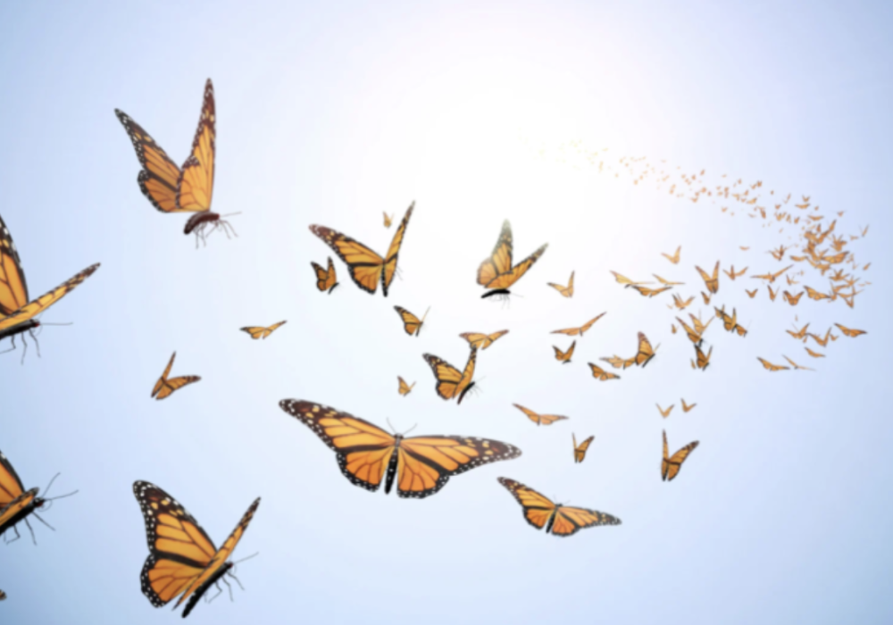 OOH effectiveness and the butterfly effect